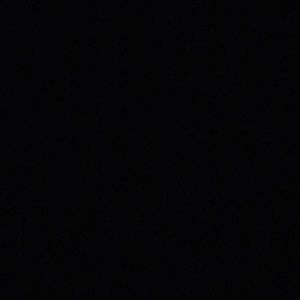 Meet your Posher, Shania